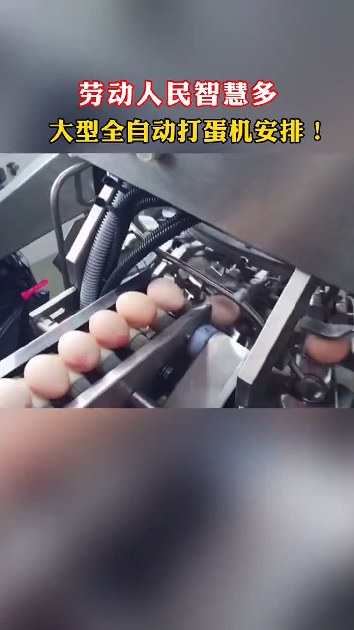 劳动人民智慧多,大型全自动打蛋机安排!