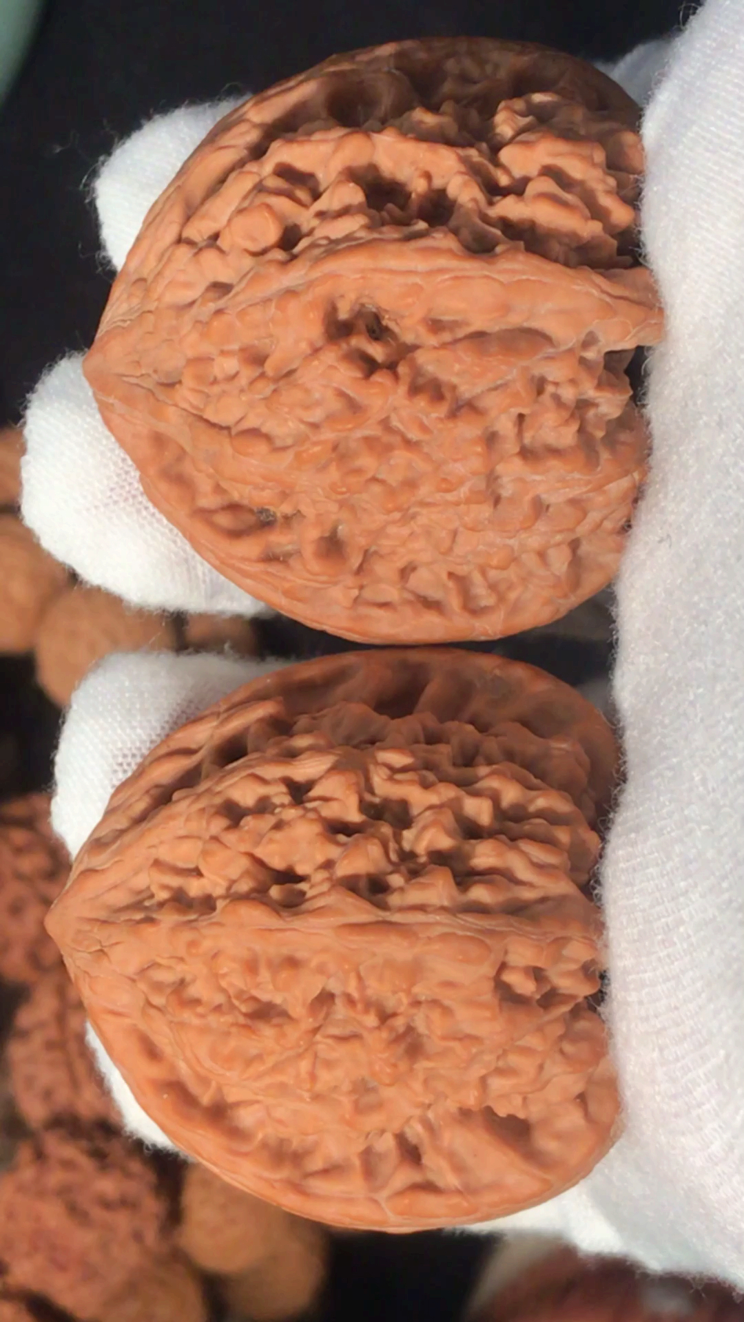 文玩核桃#野生龙脊狮子头,现在这样的核桃很少有了