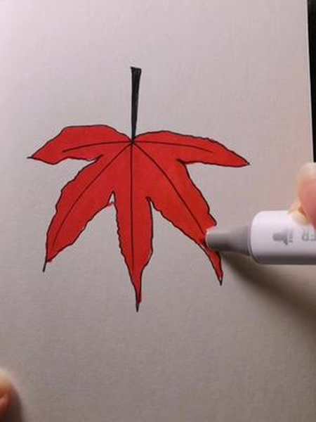 红色枫叶简笔画图片