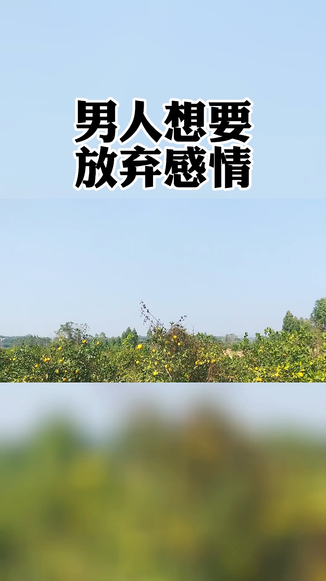 男人想要放弃一段感情,会这样做