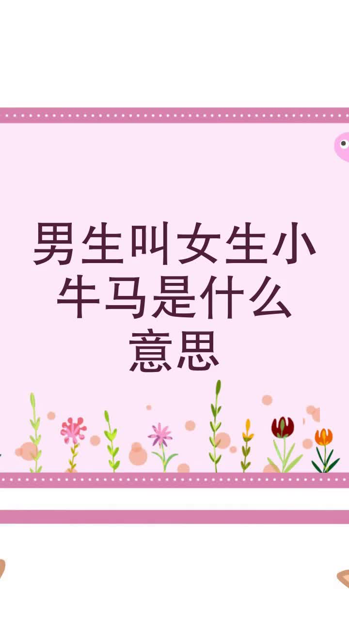男生叫女生小牛马是什么意思
