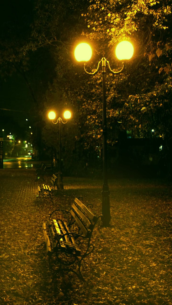 路灯为什么大多是暖色的,大概是为了温暖每一个晚归的人吧,愿我的作品