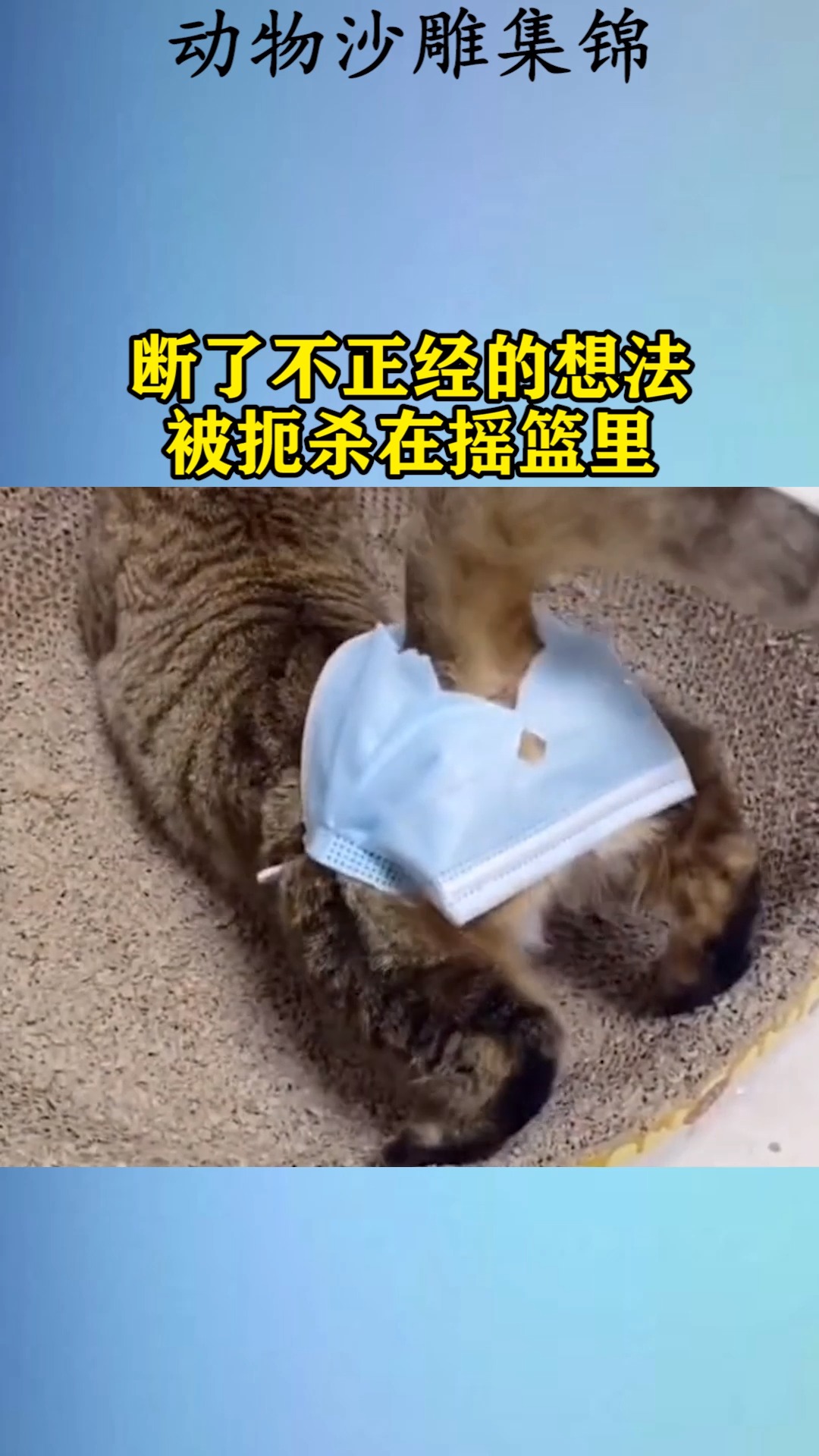 我要上热门#断了不正经的想法,被扼杀在摇篮里