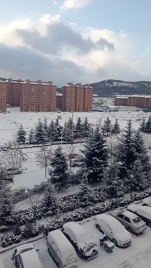 早晨起来外面白茫茫的大雪,心情顿感愉悦.