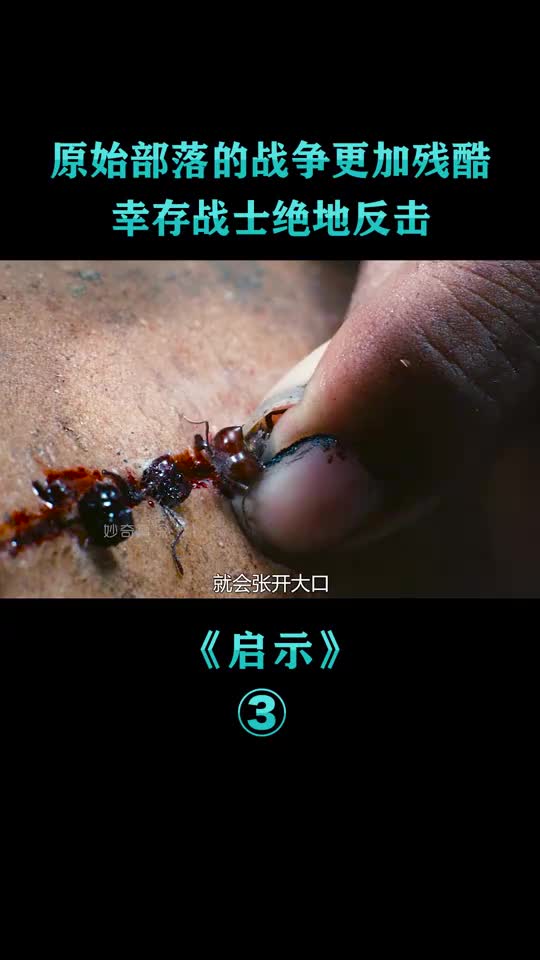 原始部落的残酷战争,幸存战士绝地反击