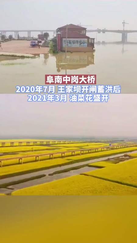 2020年7月王家坝开闸蓄洪和2021年3月,阜南中岗大桥对比图!