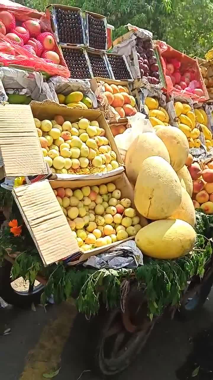 巴基斯坦最近温度44度,这就是在道边卖水果的,非常的齐全!