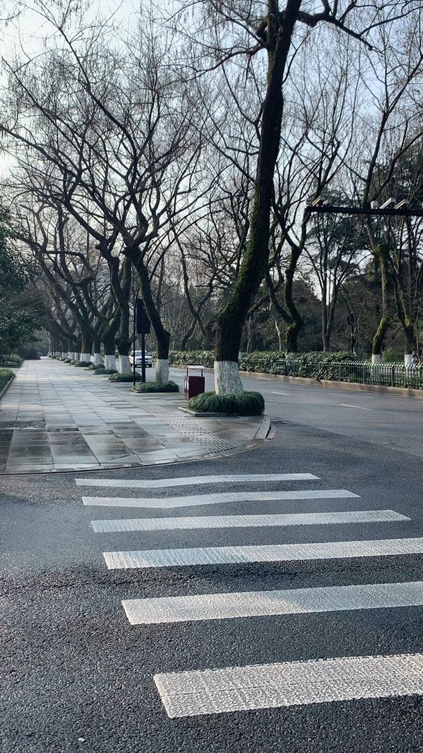 #带上全民去旅行#西湖 南山路.如此美好