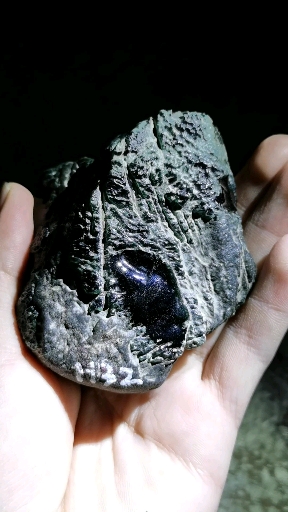 缅甸翡翠原石~莫西沙极品墨翠