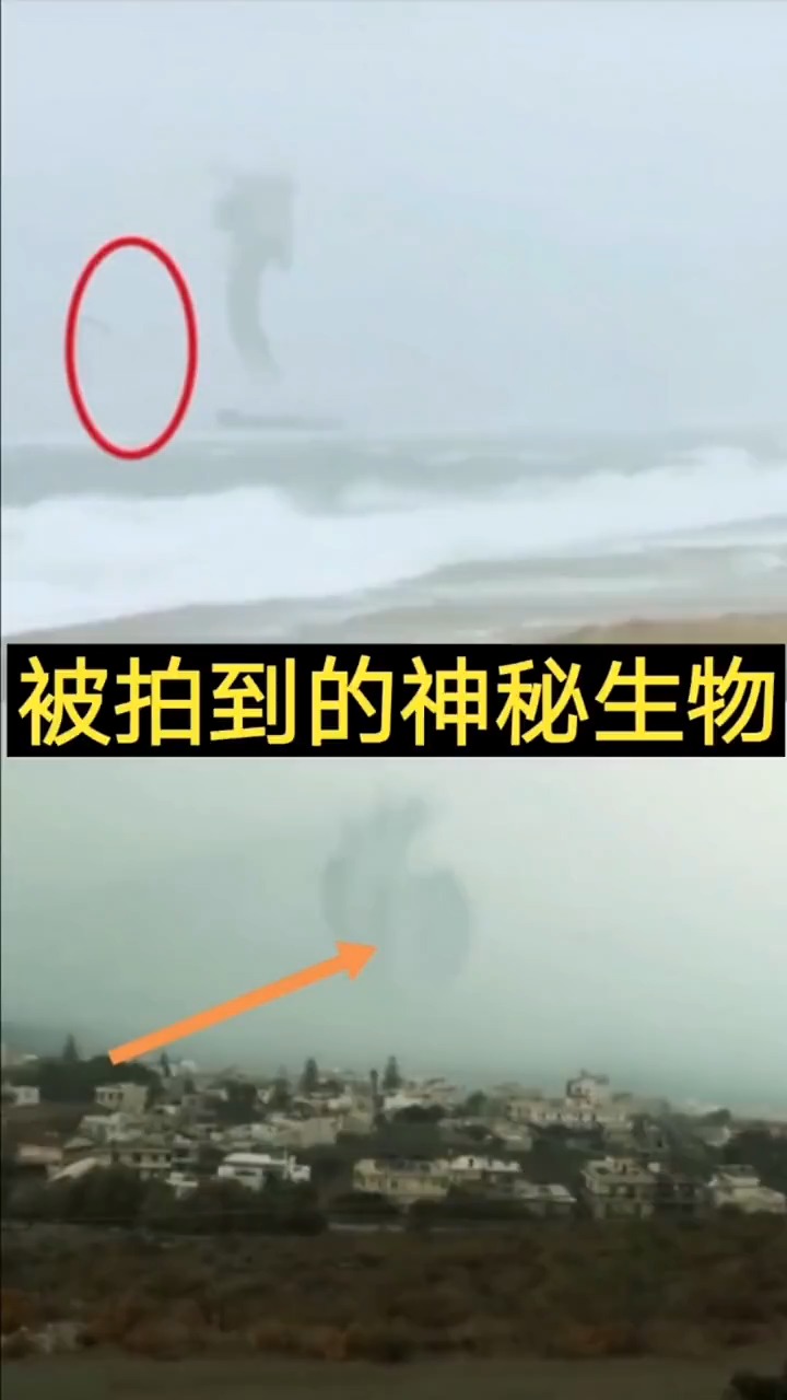 奇闻趣事抢先看被拍到的神秘生物
