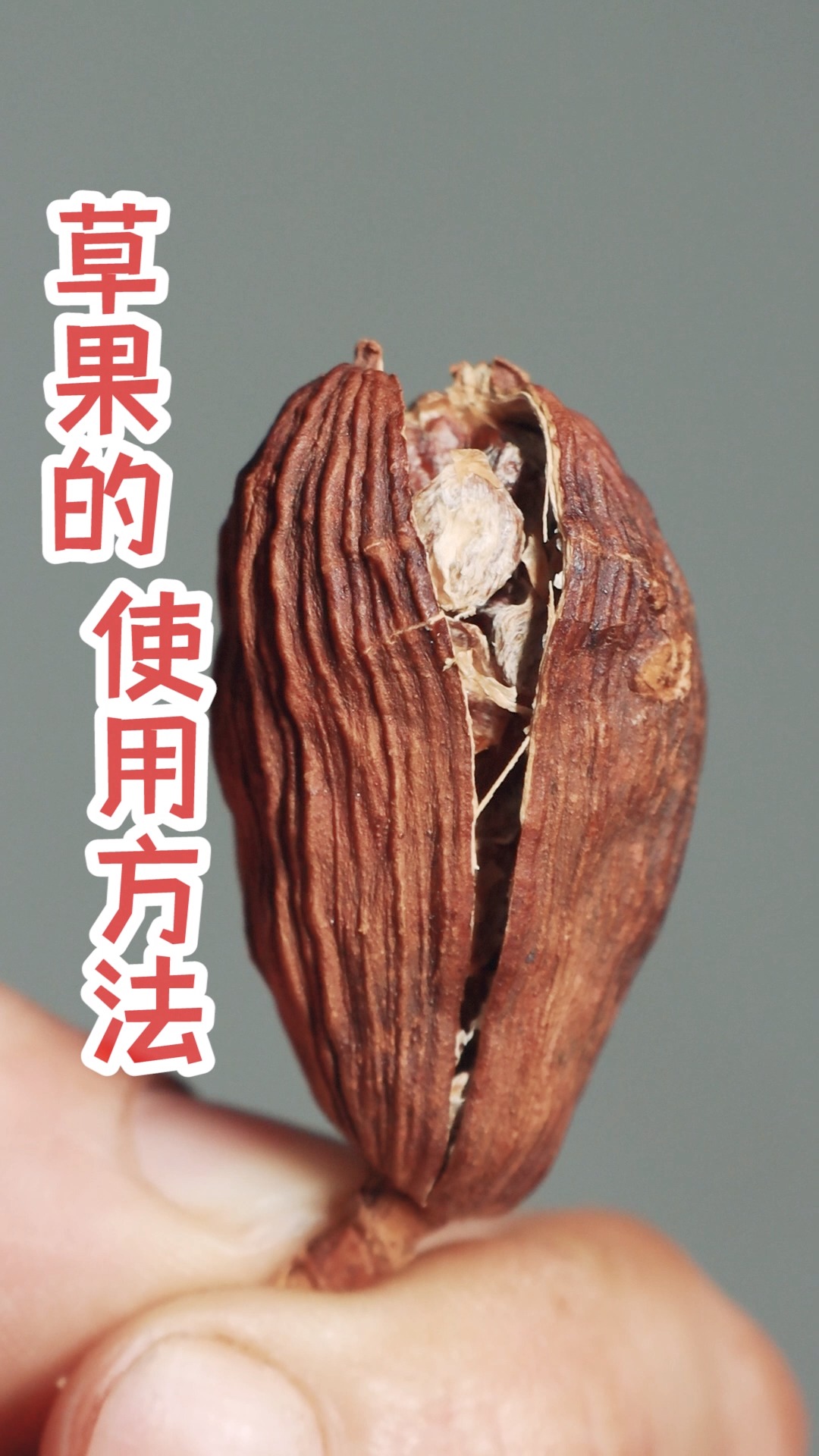 美食#草果的使用方法很多人还不清楚,什么时候去籽,什么时候带籽