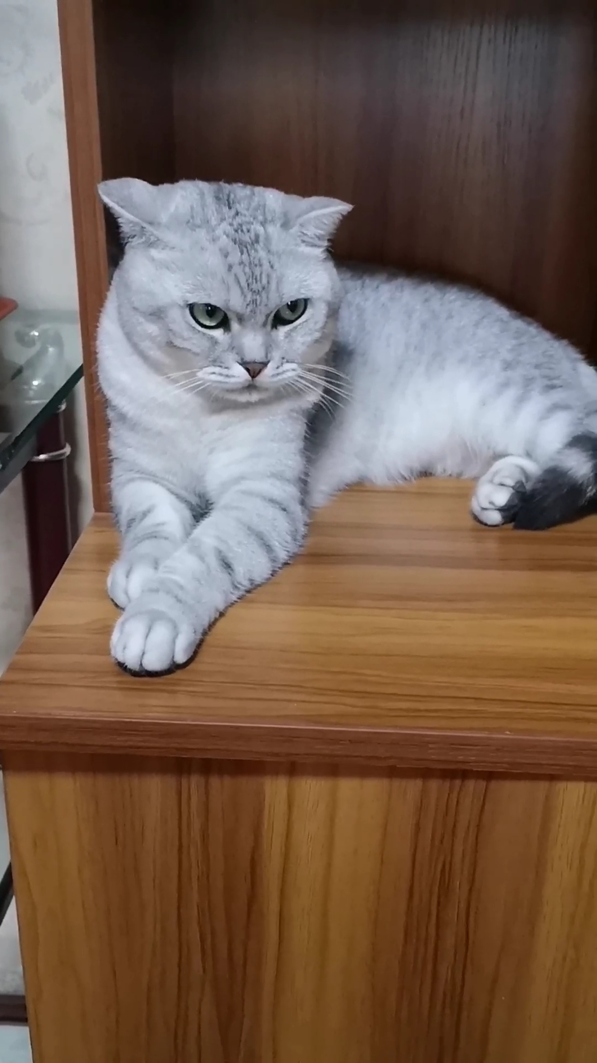 无视,极其藐视的眼神