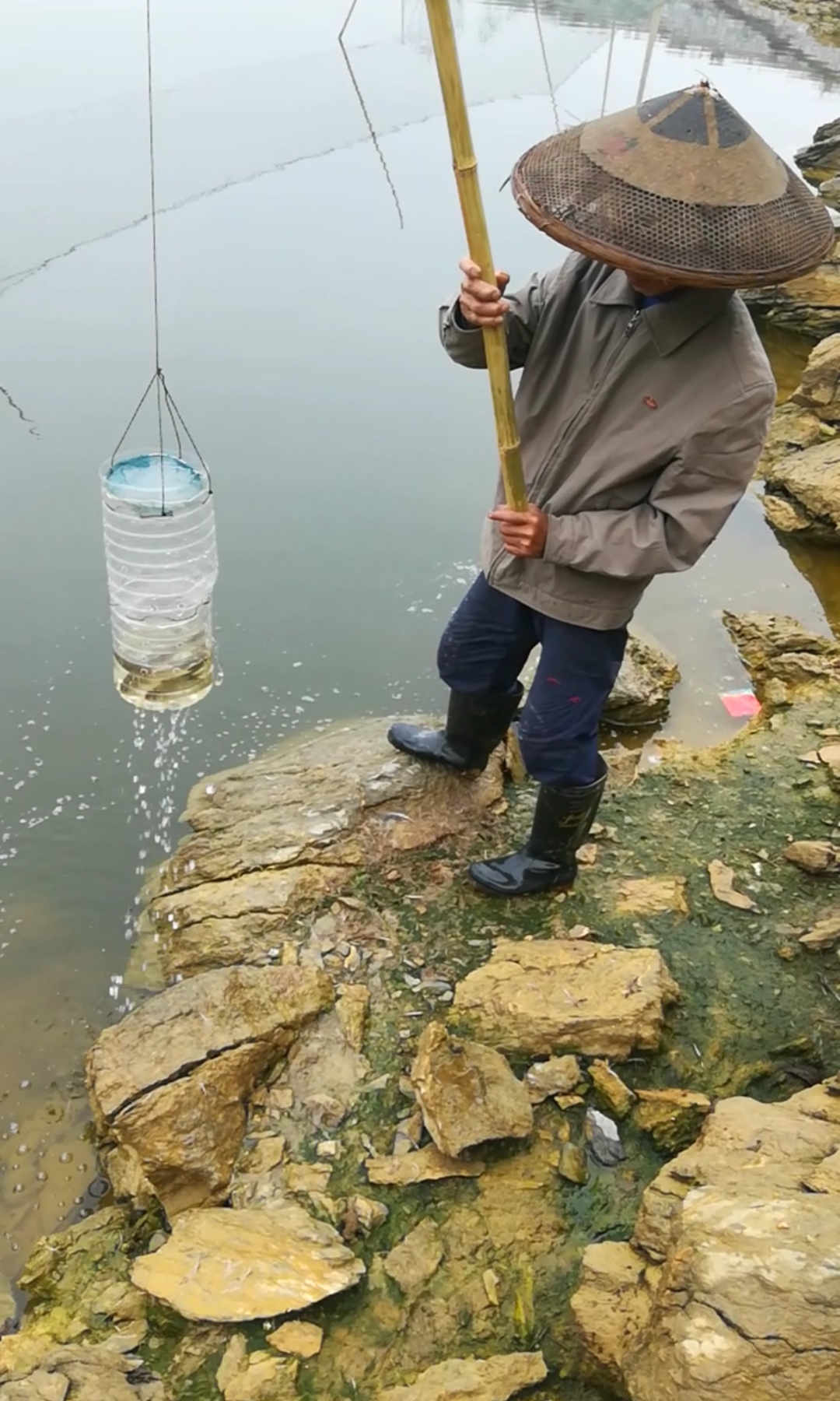 户外抓鱼#仔细看,抓到了好多鱼!