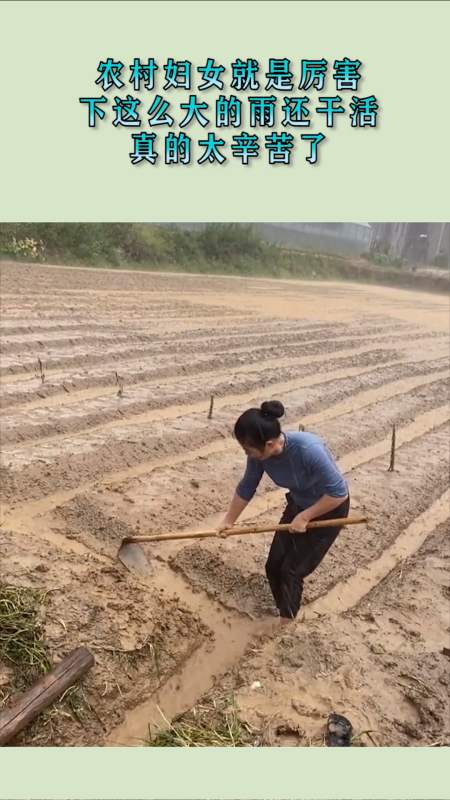 农村妇女就是厉害,下这么大的雨还干活,真的太辛苦了!