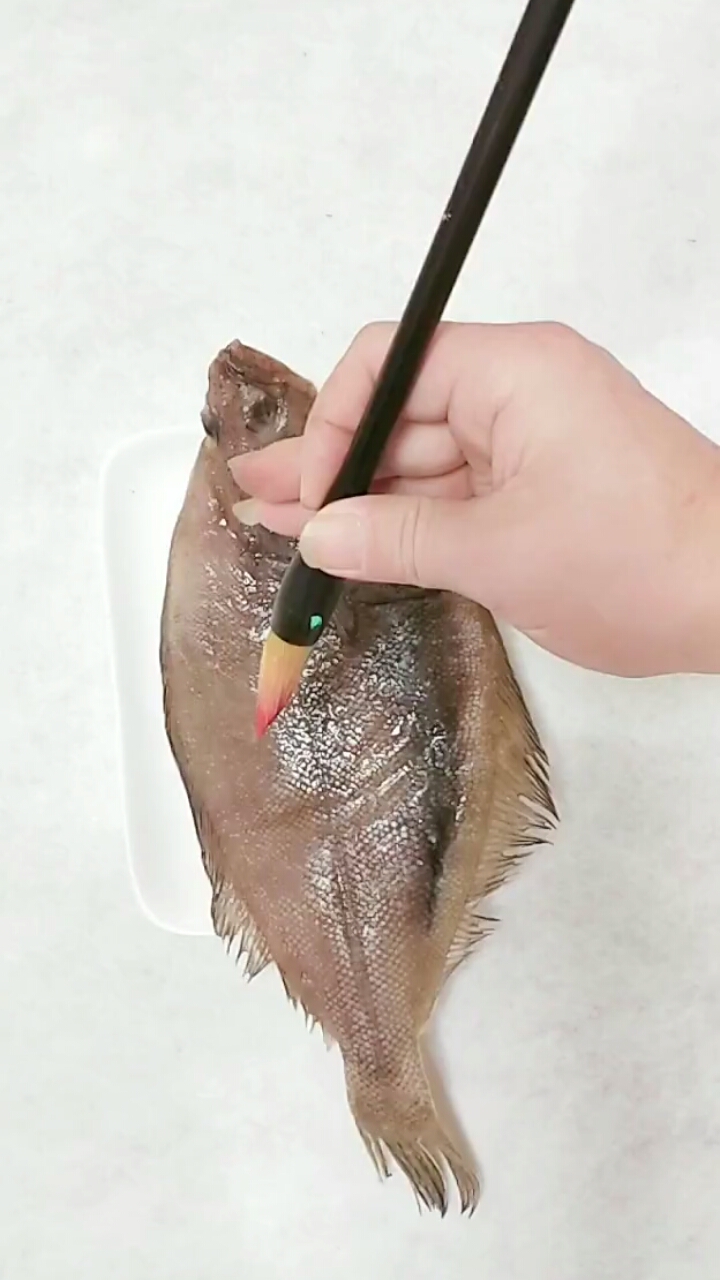 立春#挑战画鱼第二十八天,比目-度小视