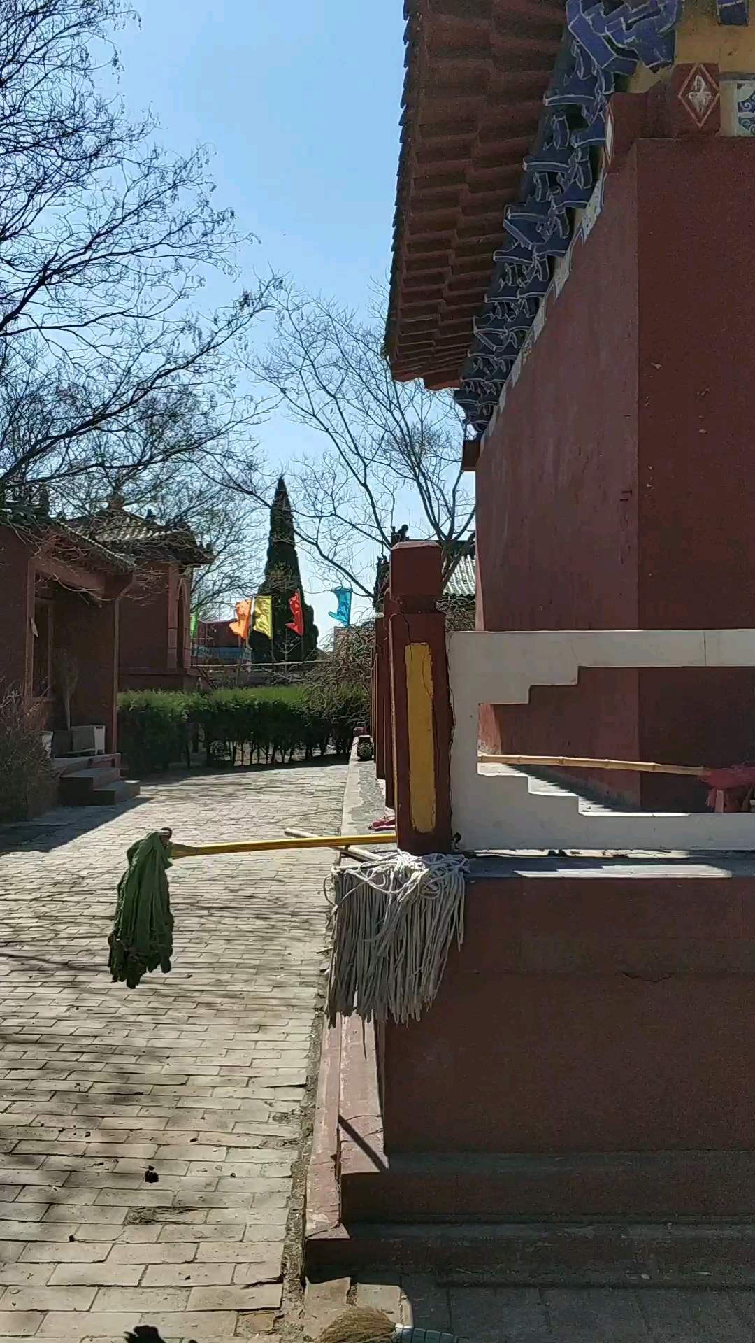 青县觉道庄青云观1