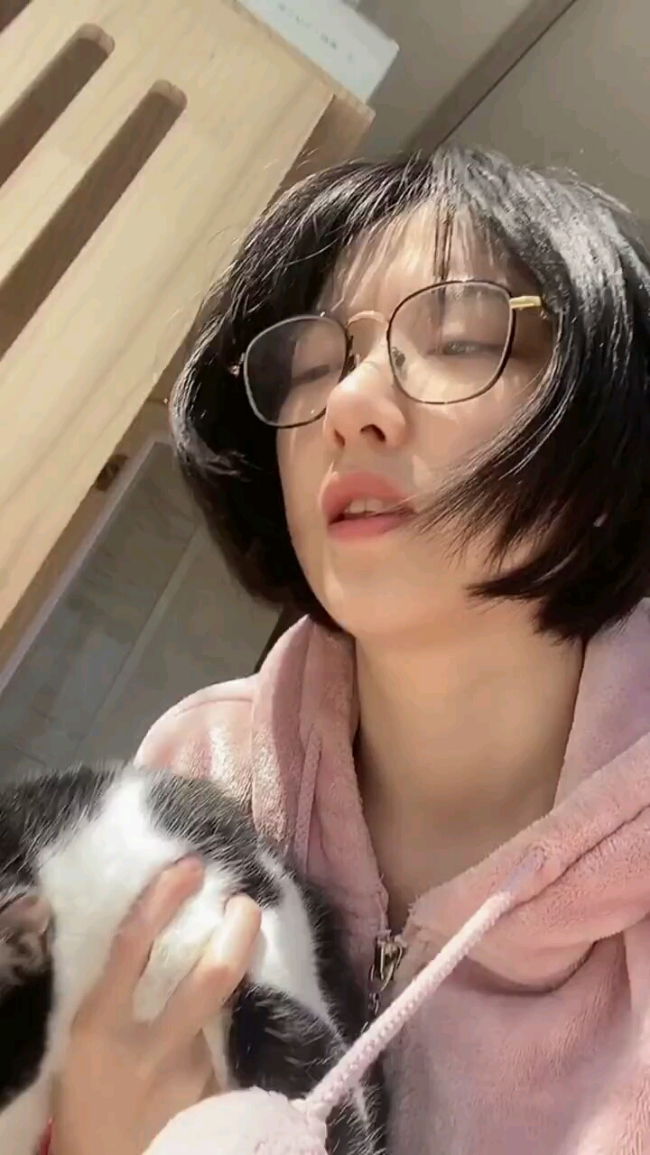 猫狗刚相处的第一天…真是过的心惊胆战@林华凌壮士(o2280