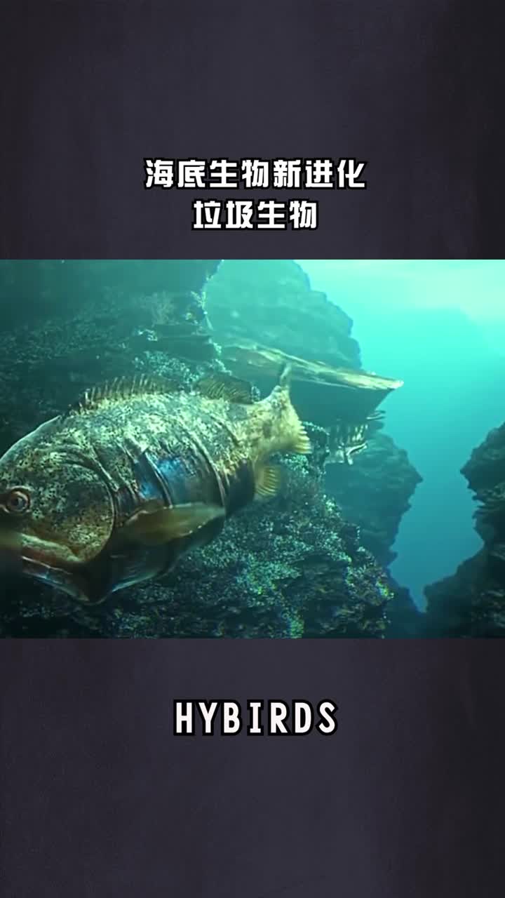 海洋的生物都被垃圾污染不料竟进化成这样