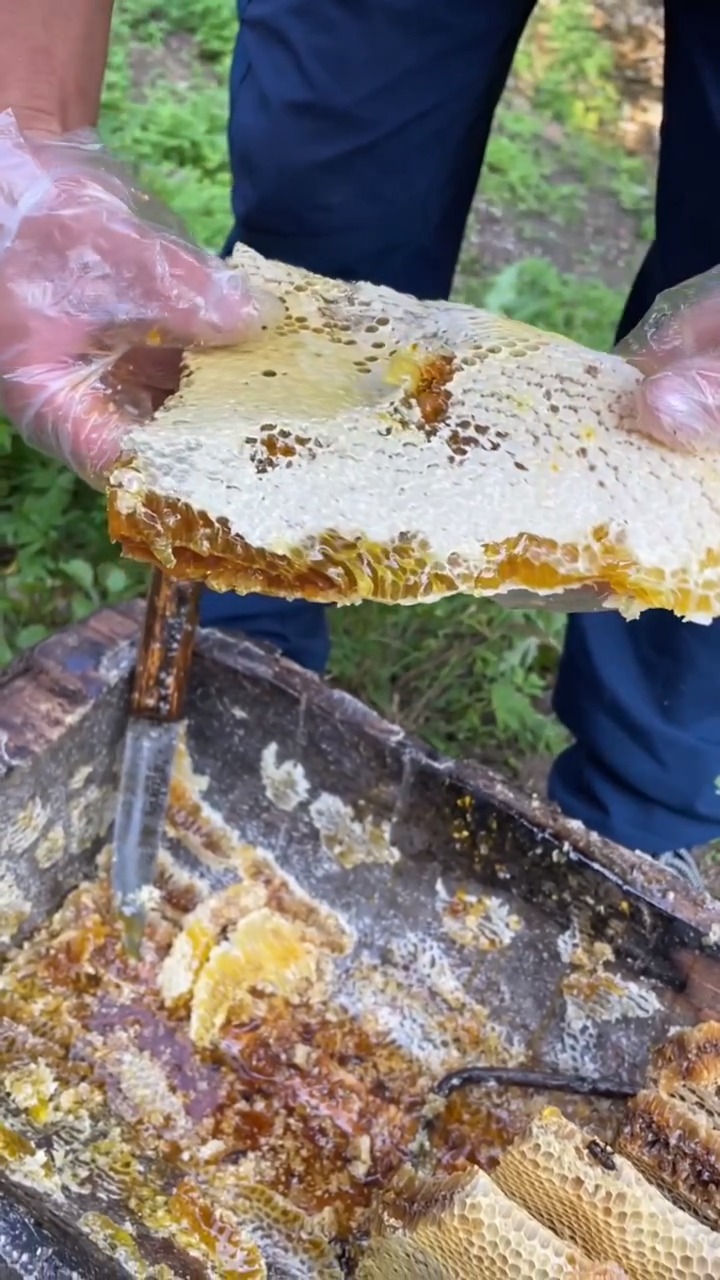 秦岭野生土巢蜜 #地道的农村人的土蜂蜜 #好可爱的小宝宝 #正宗土蜂蜜