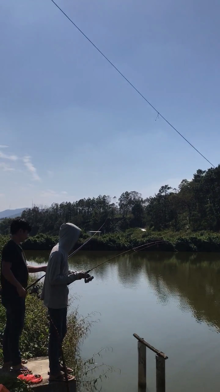 钓鱼的最高境界  挂电线