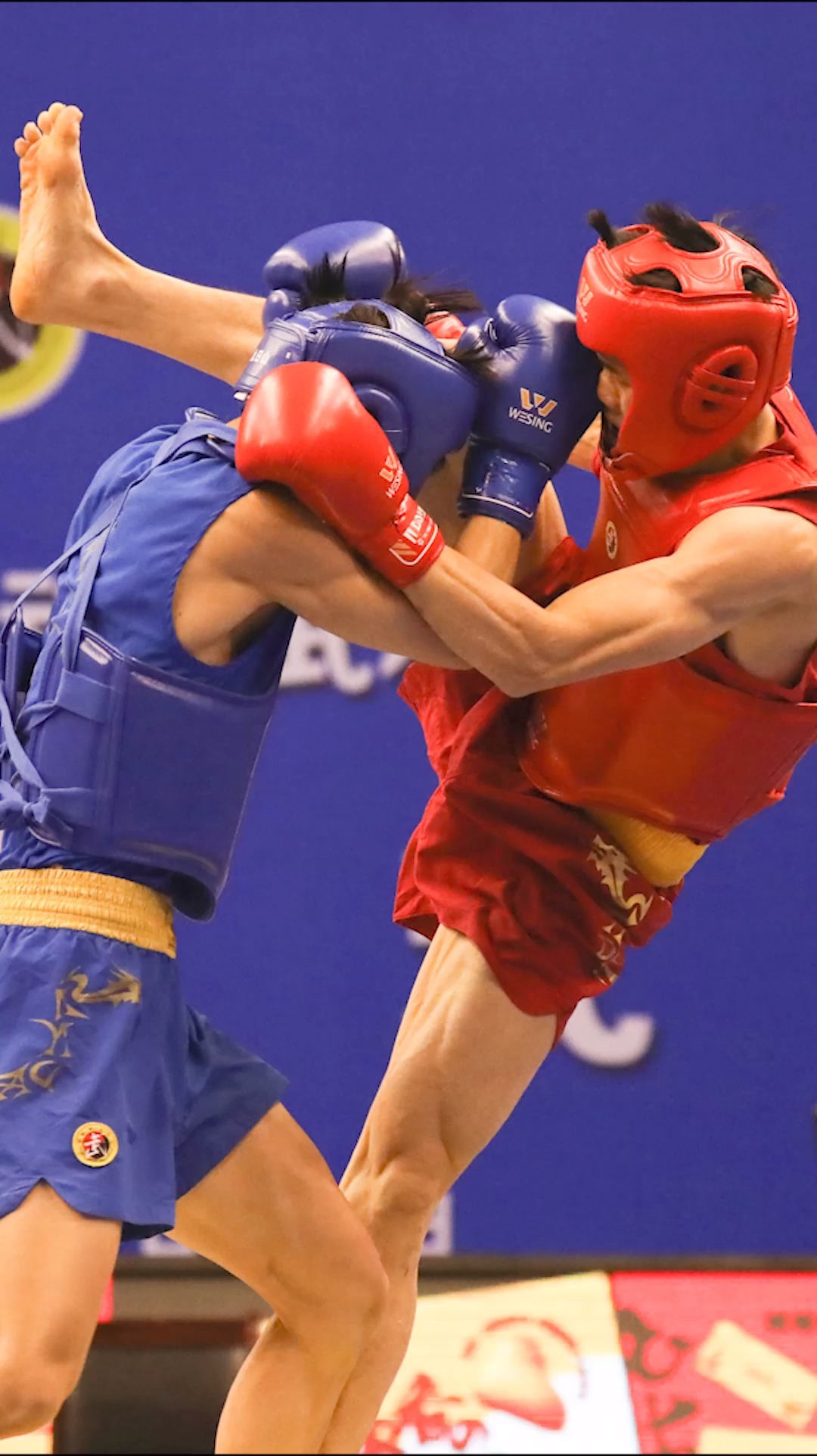 散打高鞭腿的威力!带着护头照样被打晕,超厉害!