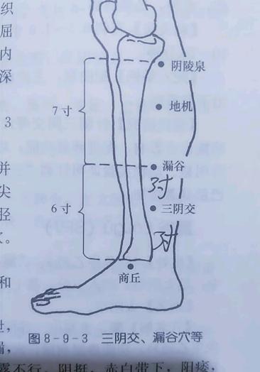 足太陰脾經,三陰交穴位.內裸上四橫指(三寸)