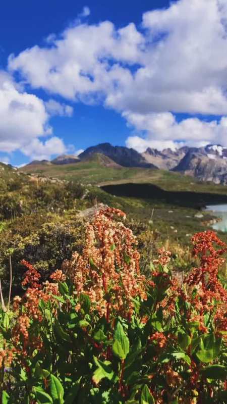 最美大自然到大自然之中山水之间采集天地之灵气你会发现玩竟然让身心