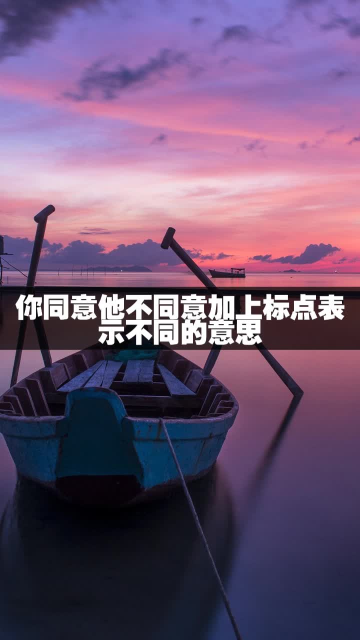 你同意他不同意加上标点表示不同的意思