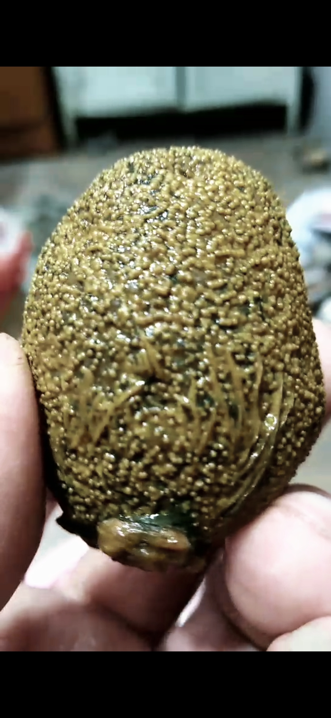 战国红玛瑙原石奇石天然象形糕点典心满身金色芝麻粒