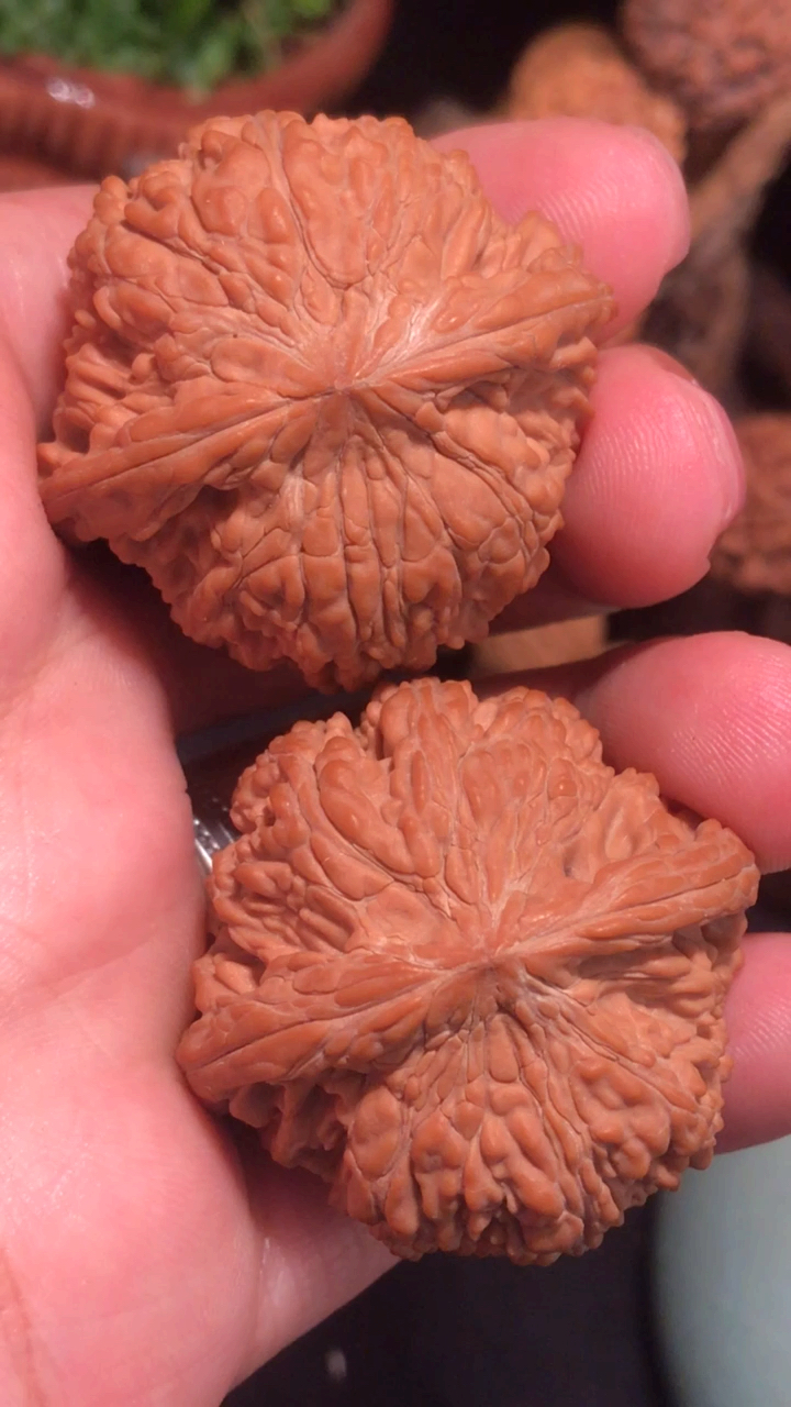 极品手捻文玩核桃和尚头