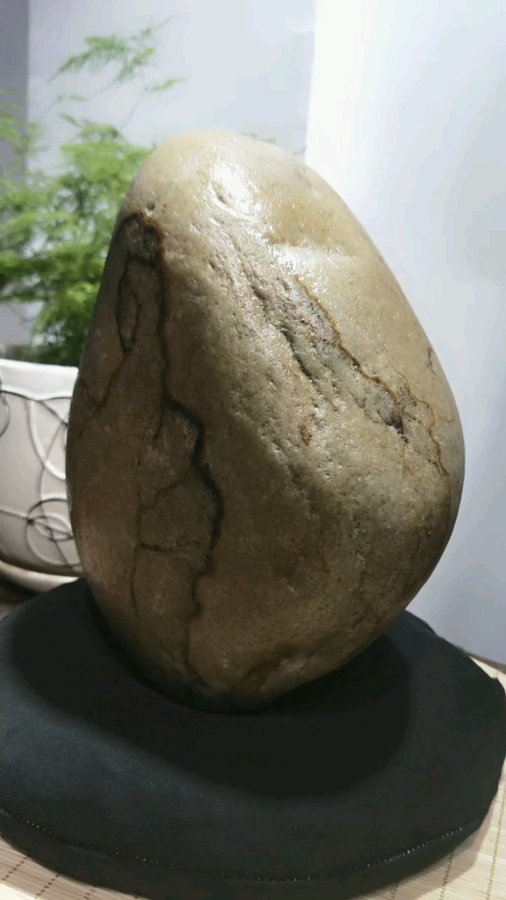 天然原石,长江碳化石