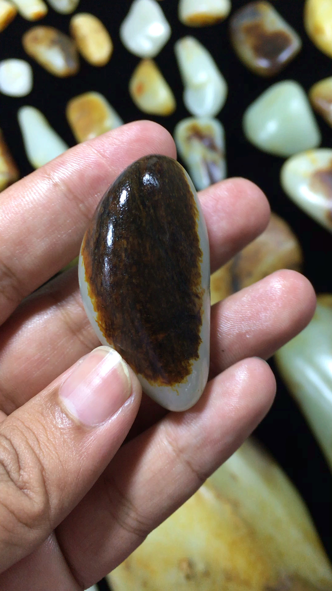 聚黑皮新疆和田玉籽料原石!