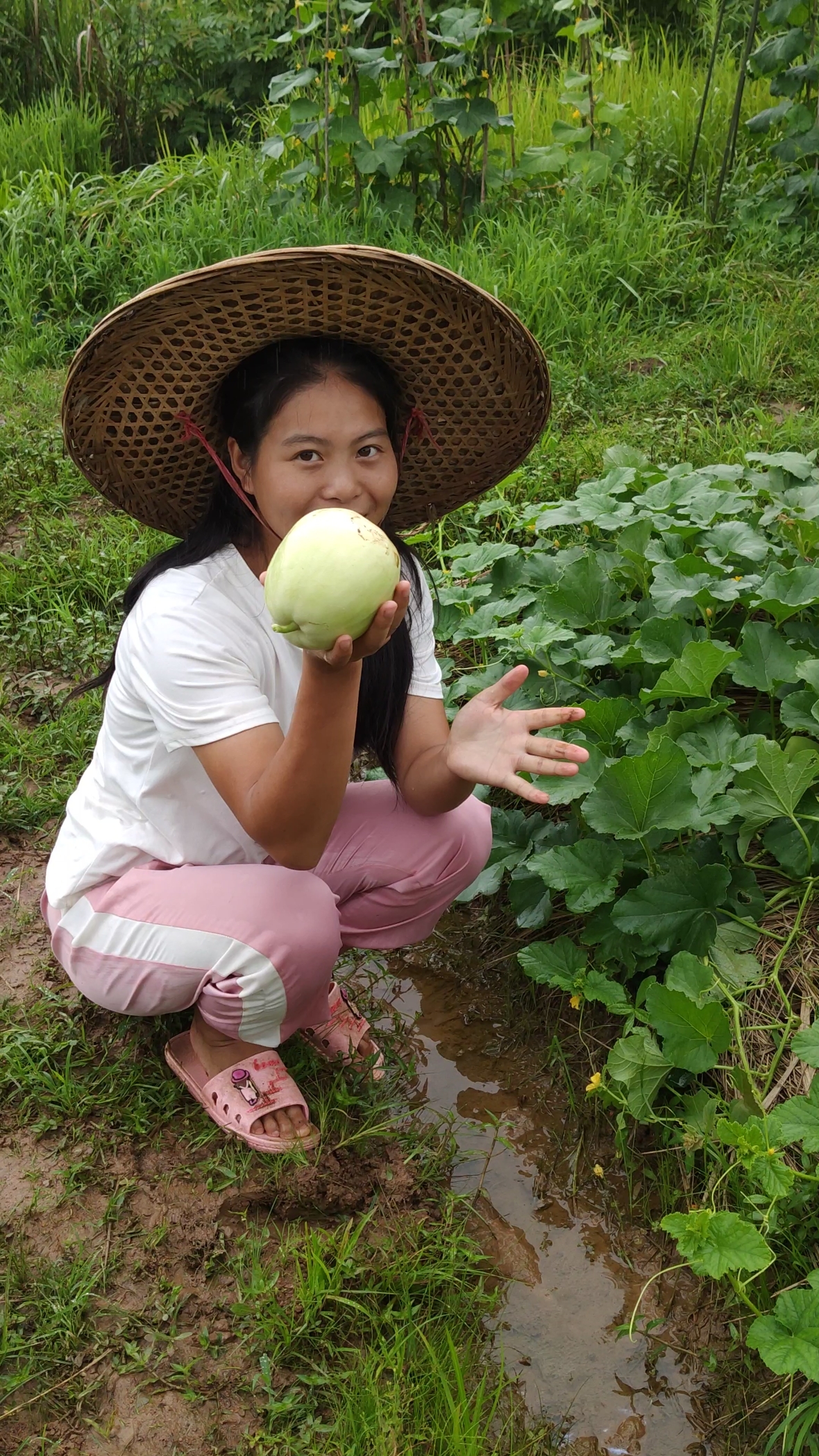 农村水果就是多,想不想吃甜瓜