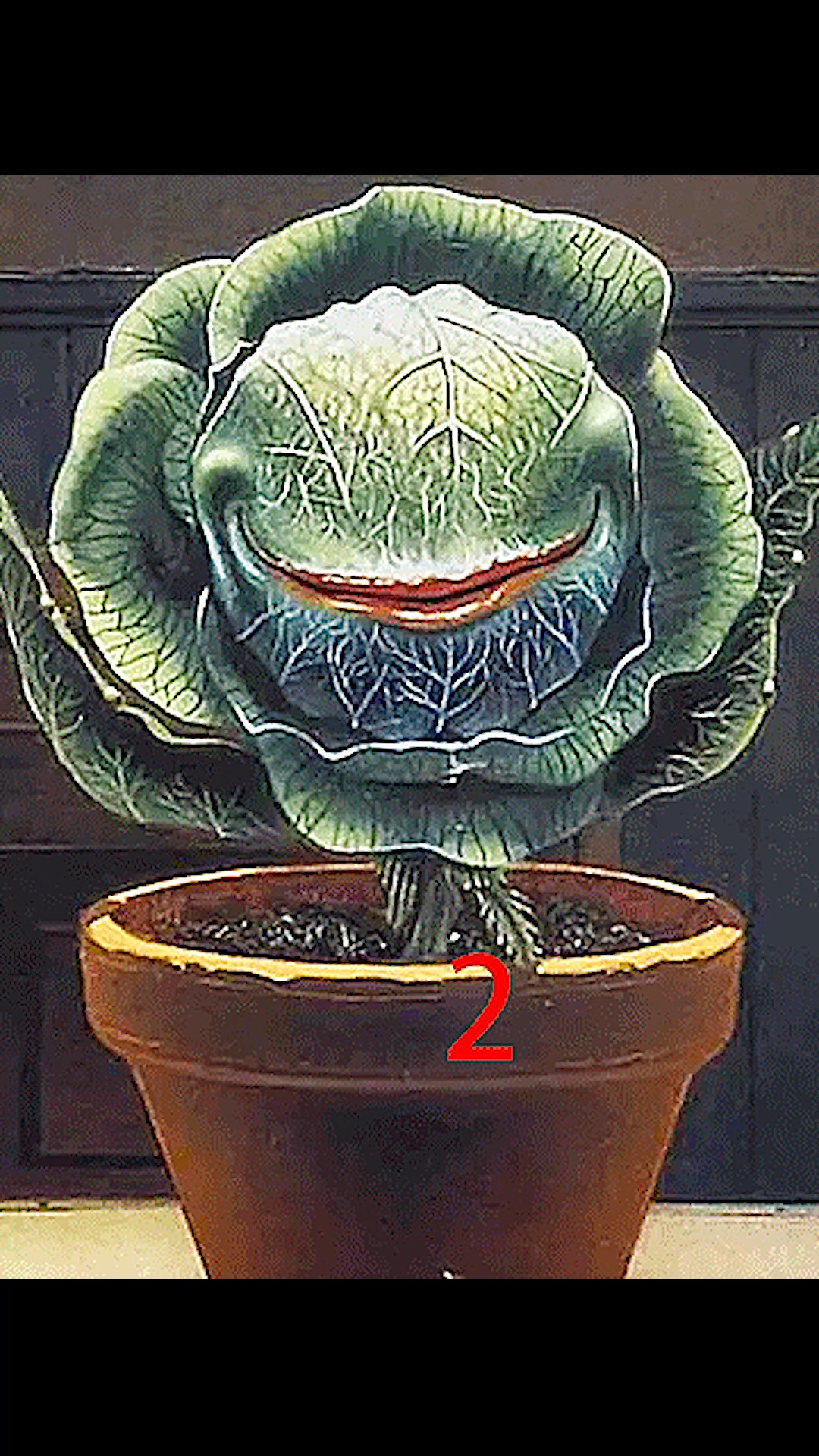 异形奇花#这个小可爱居然喜欢嗜血,只要嗜血生长速度极快