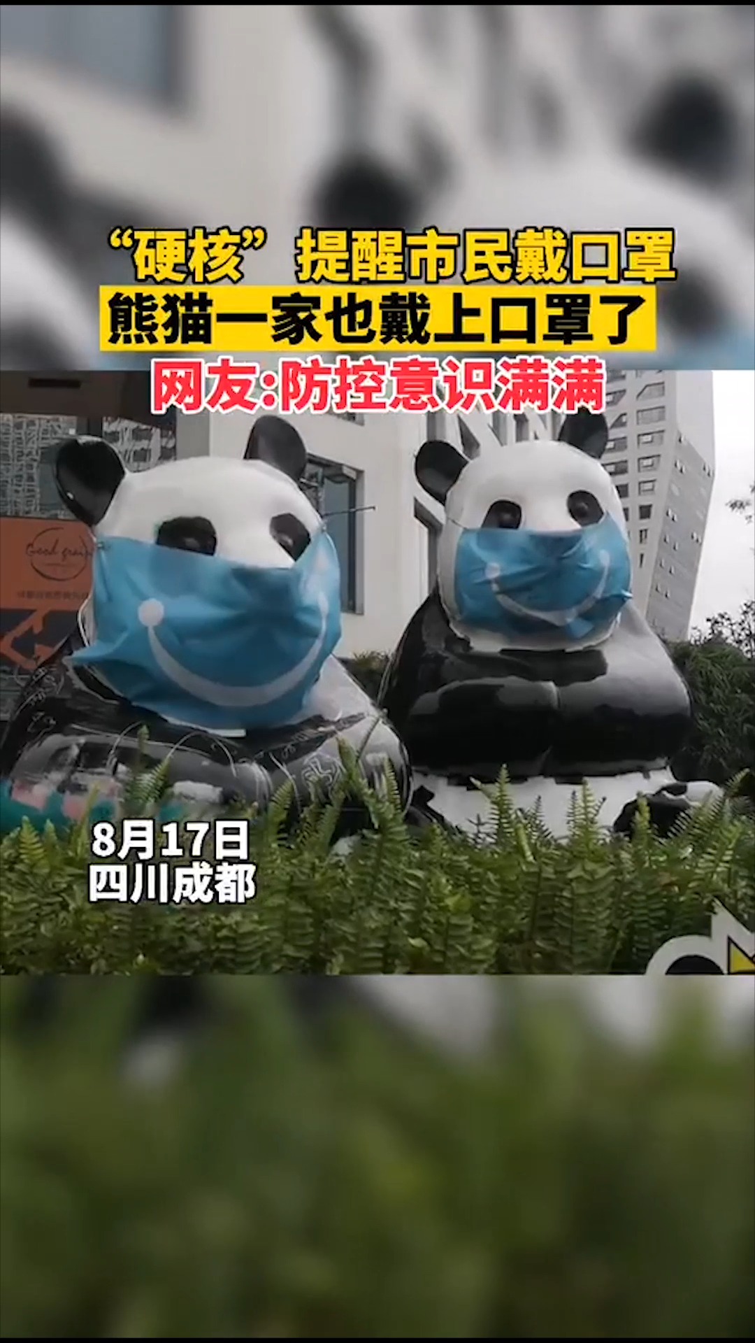 全民防疫硬核提醒市民戴口罩熊猫一家也带上口罩了网友防控意识满满