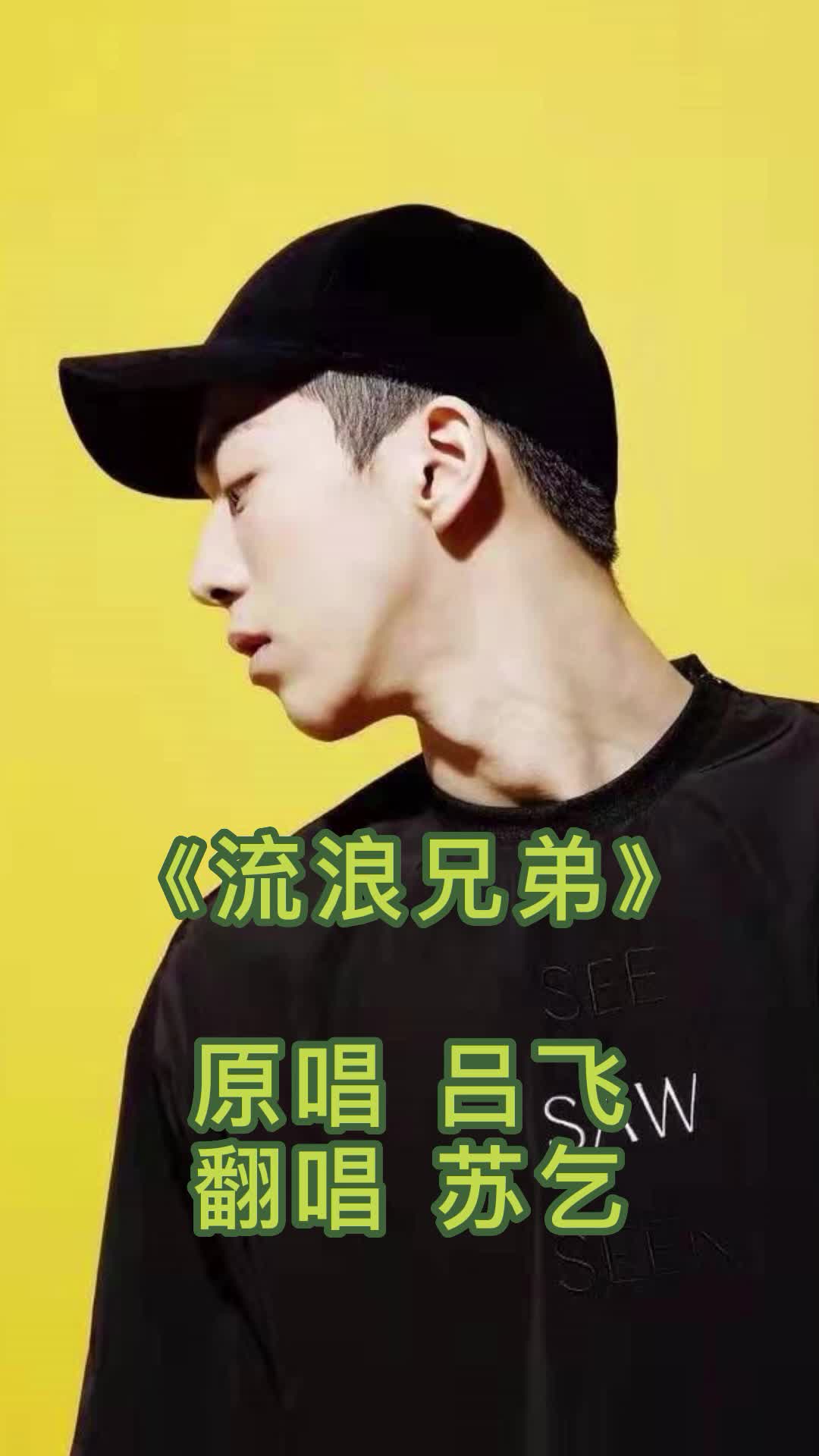 一首《流浪兄弟》,歌词伤感,深入人心,宛如天籁之音-度小视