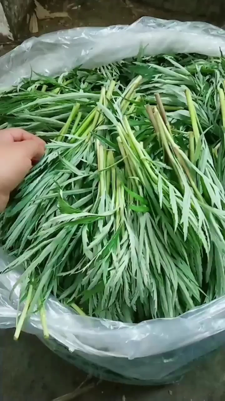 涂了口红吃东西#能吃的蒿子,你吃过吗?