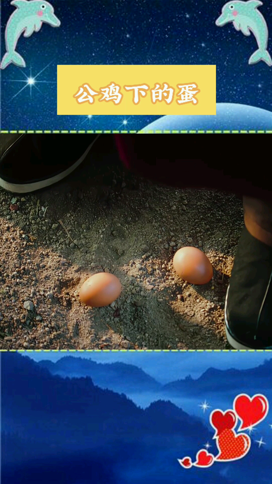 公鸡下的蛋!