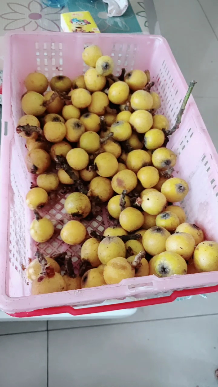 香甜可口的枇杷子