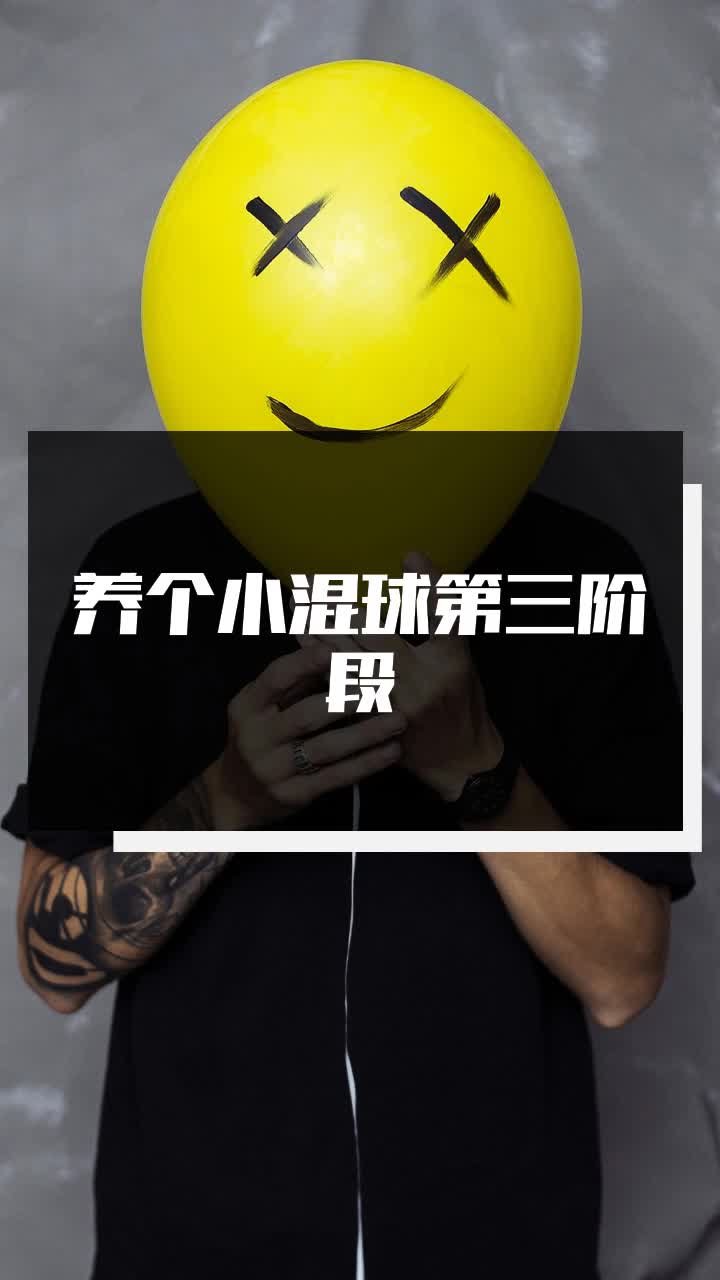 养个小混球第三阶段