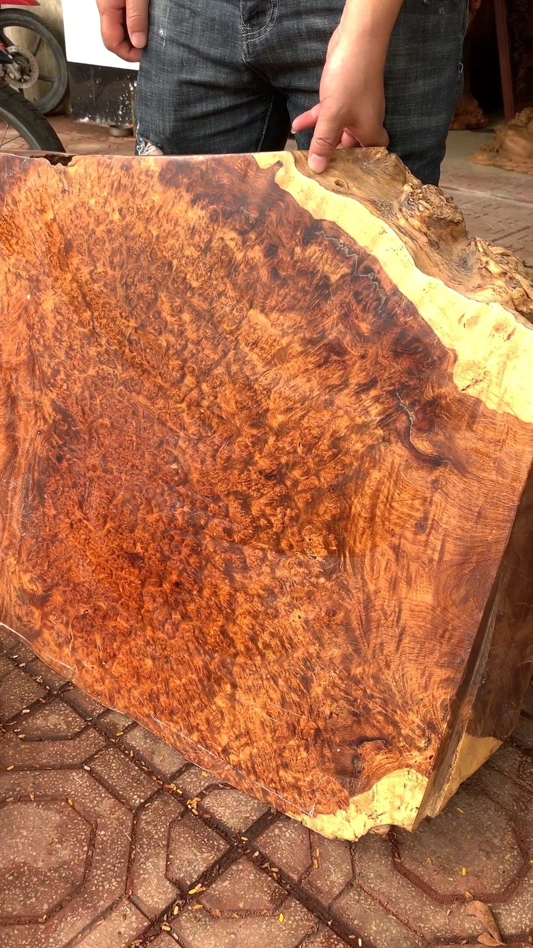 大果紫檀瘿瘤木,漂亮吗?