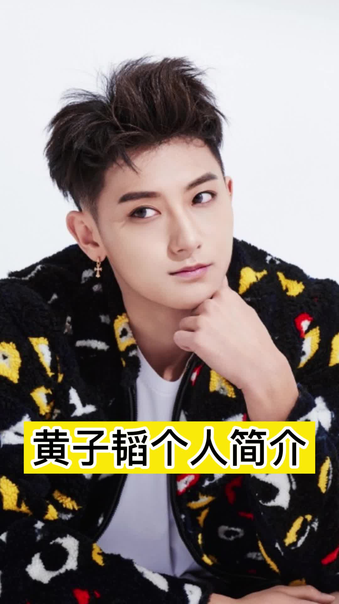 黄子韬个人简介你理解了吗