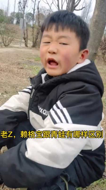 就算是一只赖格宝,我也是一只聪明有理想的赖格宝