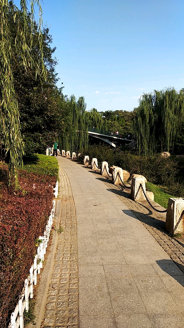 青岛海泊河公园