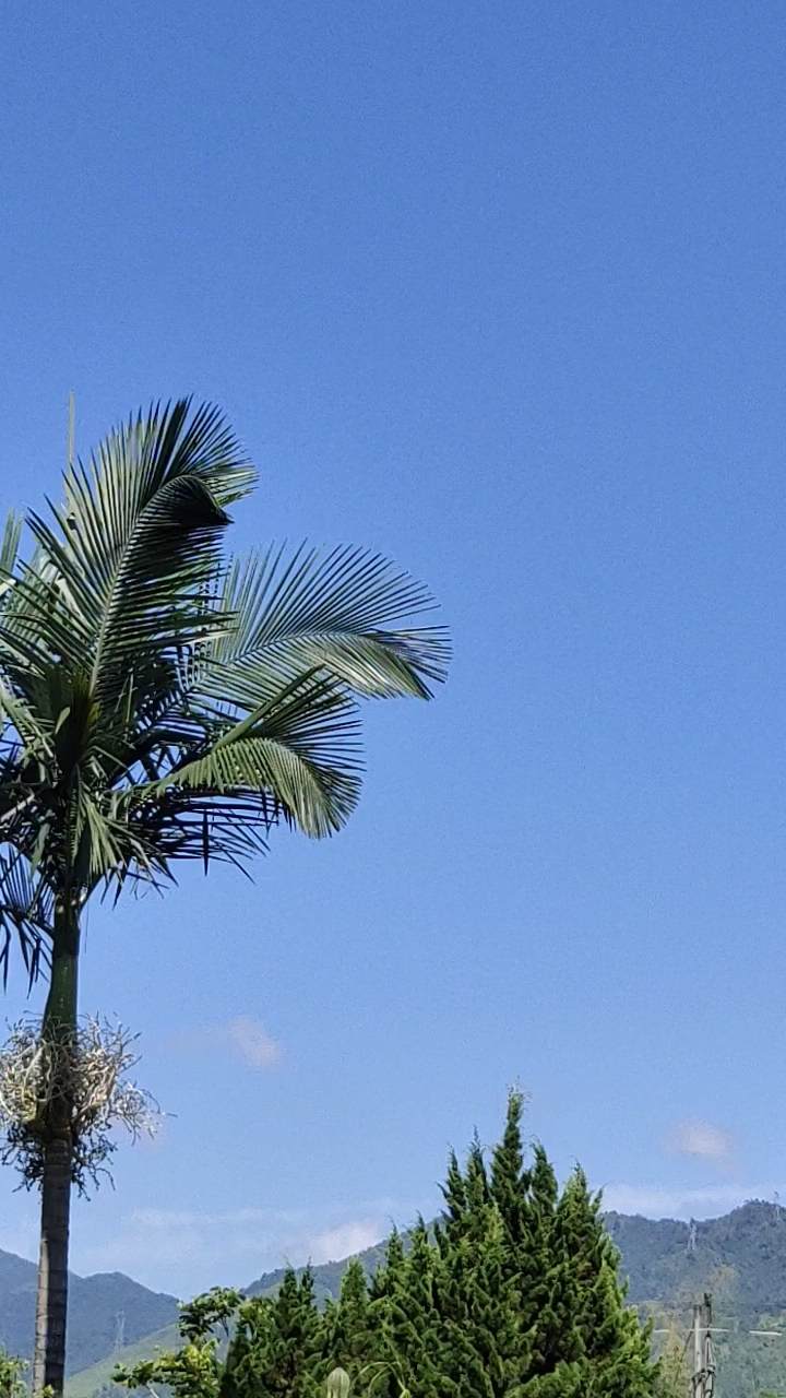 嘴角向上笑一个吧#心情舒坦,阳光明媚