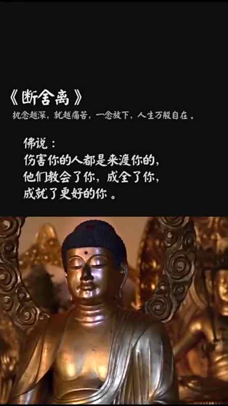 执念越深,就越痛苦,一念放下,人生万般自在