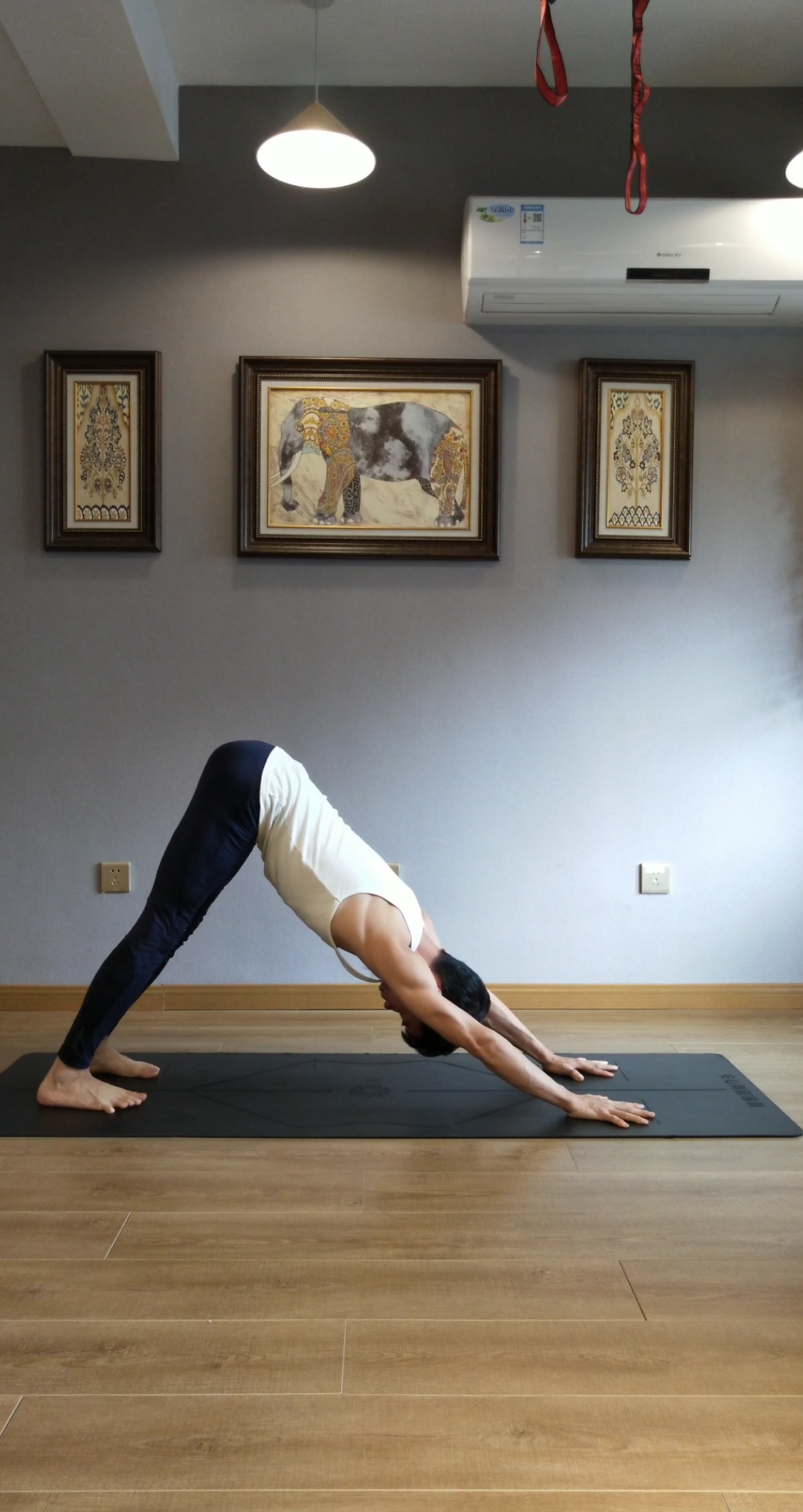 再不减肥就晚了#瑜伽vinyasa体式串联:斜板式,四柱,上犬式,下犬式-度