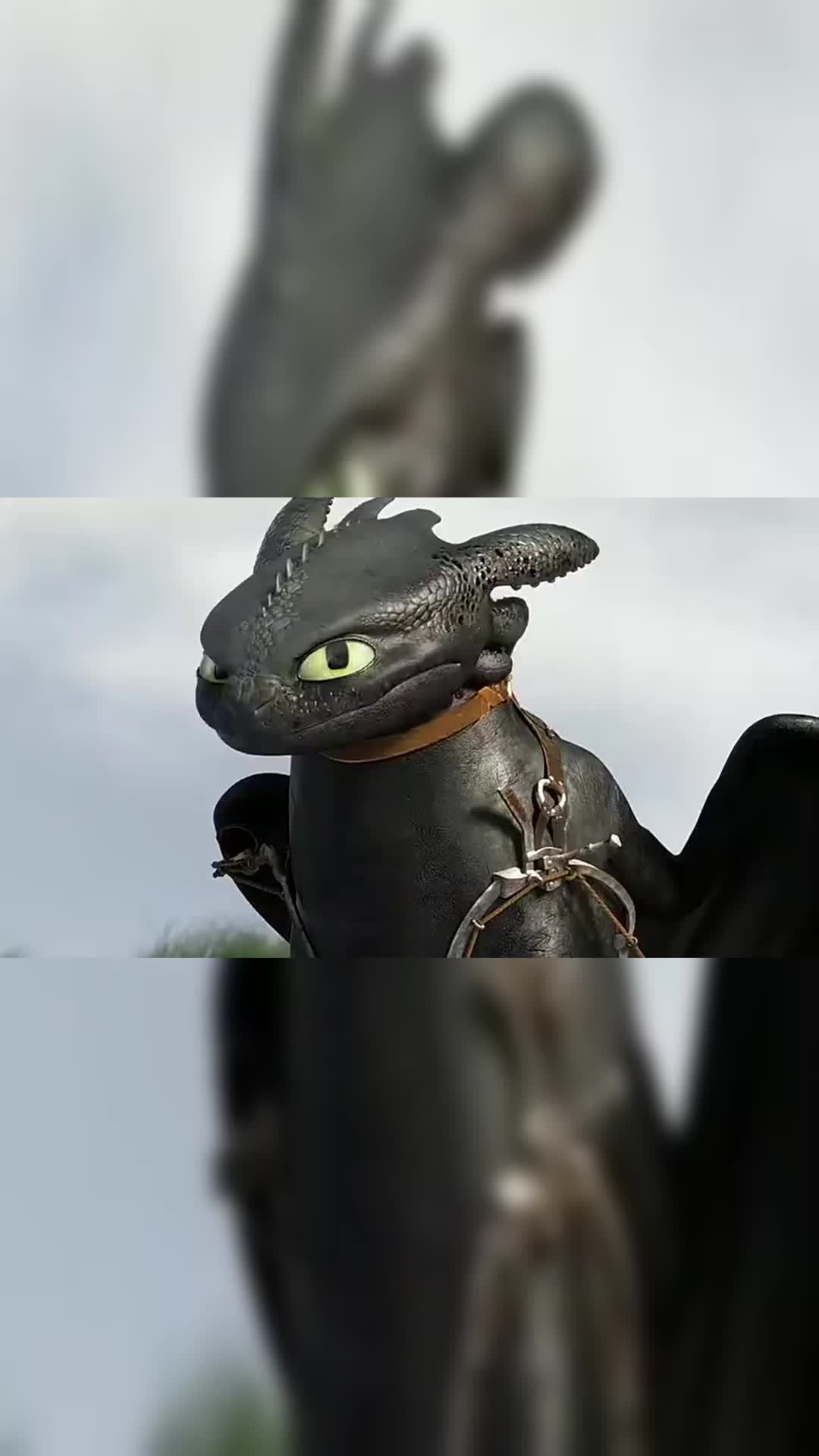 驯龙高手无牙仔生气了哄不好的那种