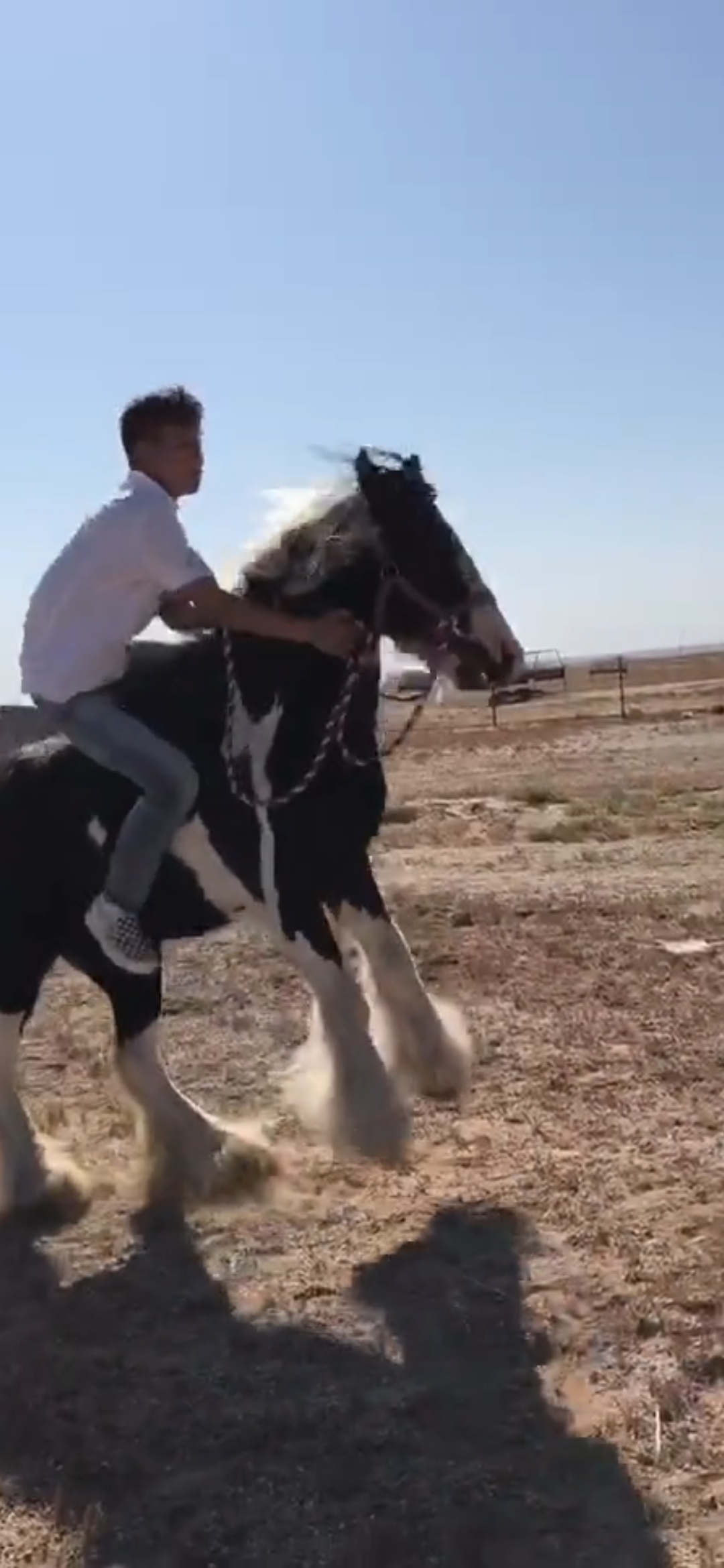 这是高手#这上马动作怎么样