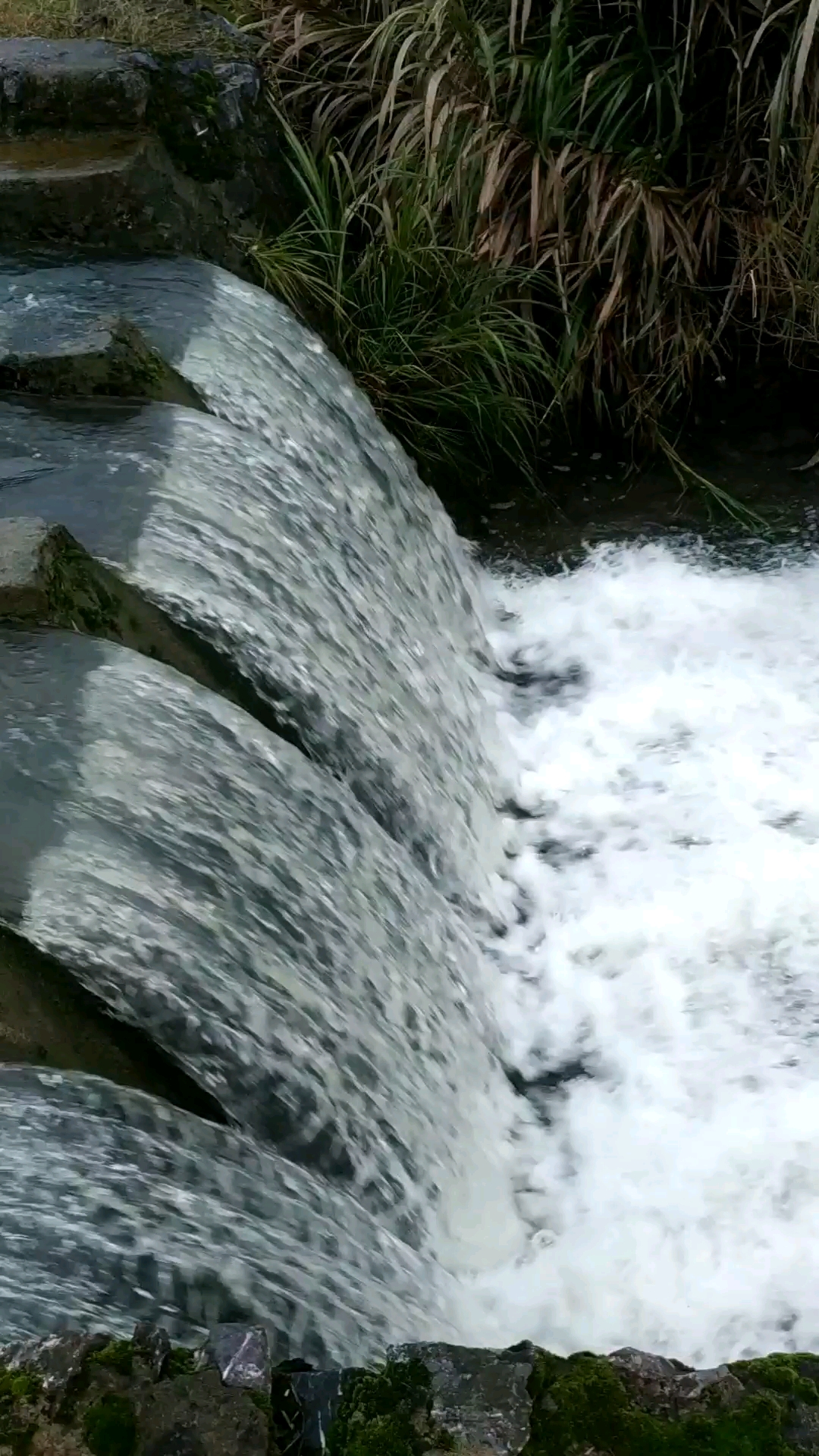 张水,声音好震撼